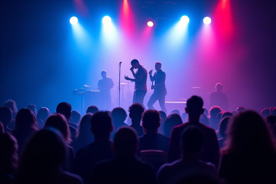 Fotografía de un concierto de música en vivo, energía de la multitud